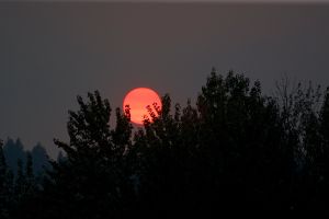 Sunset-Vernon_BC-2014_08_11